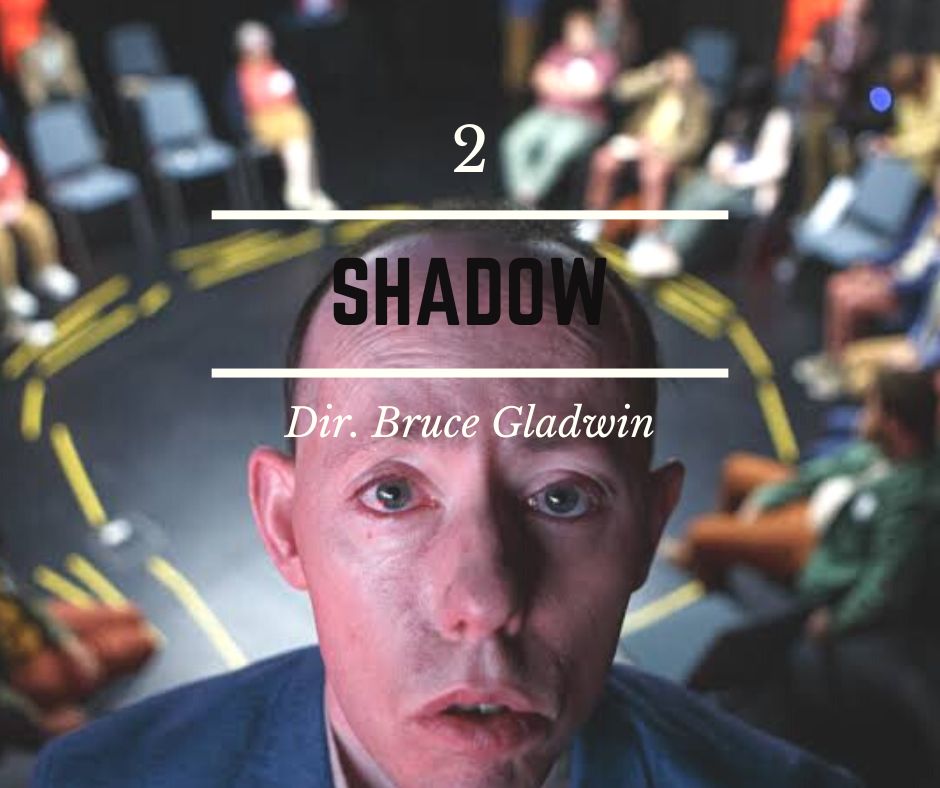 2 - Shadow - Director Bruce Gladwin & Back to Back Theatre