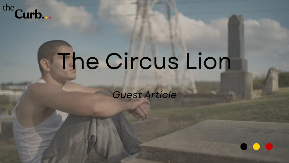 Tigran Tovmasian on the urgency of his short film The Circus Lion