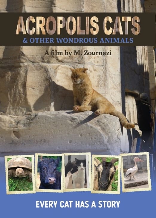 Acropolis Cats & Other Wondrous Animals to World Premiere at Melbourne Documentary Film Festival