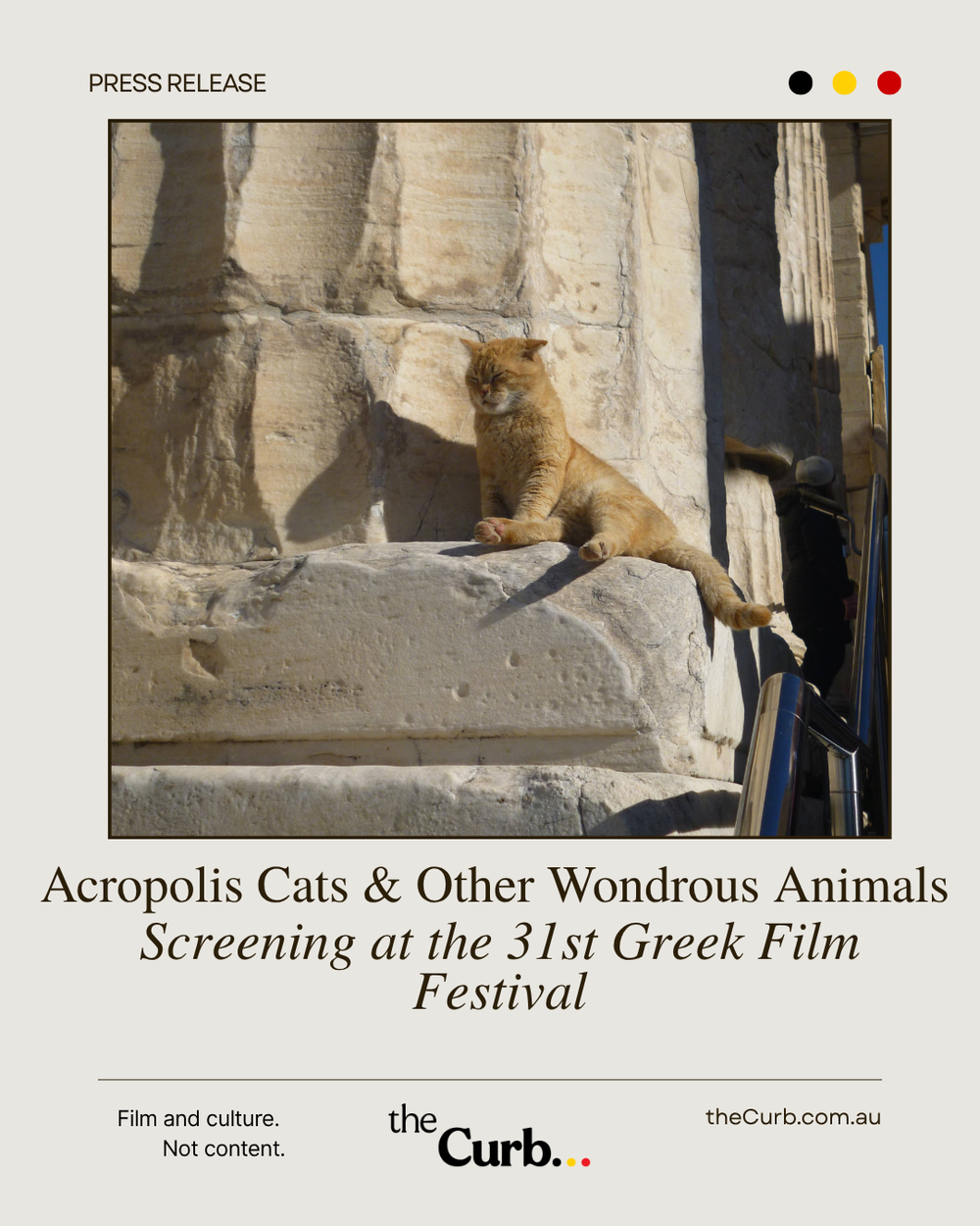 Acropolis Cats & Other Wondrous Animals Screening at the 31st Greek Film Festival