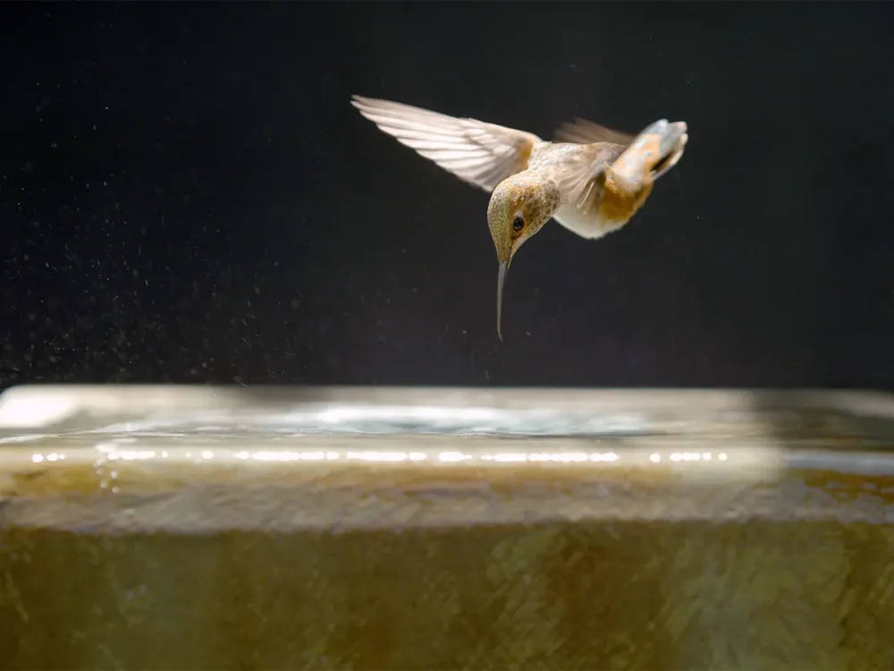 Adelaide Film Festival Interview: Director Sally Aitken on Every Little Thing