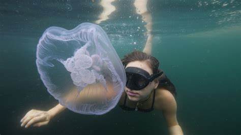 Descent Review - A Dead-Cold Reflection