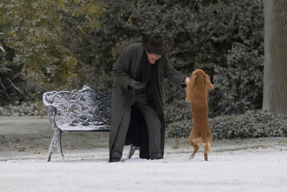 Dean Spanley Review - One Moment You are Running Along, the Next You Are No More: To Lose a Dog is To Know Grief