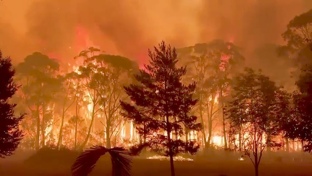 Inferno Without Borders Melbourne Documentary Film Festival Interview - Addressing the Way Australia Prepares the Environment for Bushfires