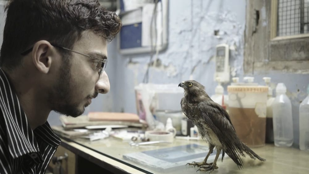 The Australian International Documentary Conference Full Program Features Over 100 Speakers Including Oscar Nominees and More