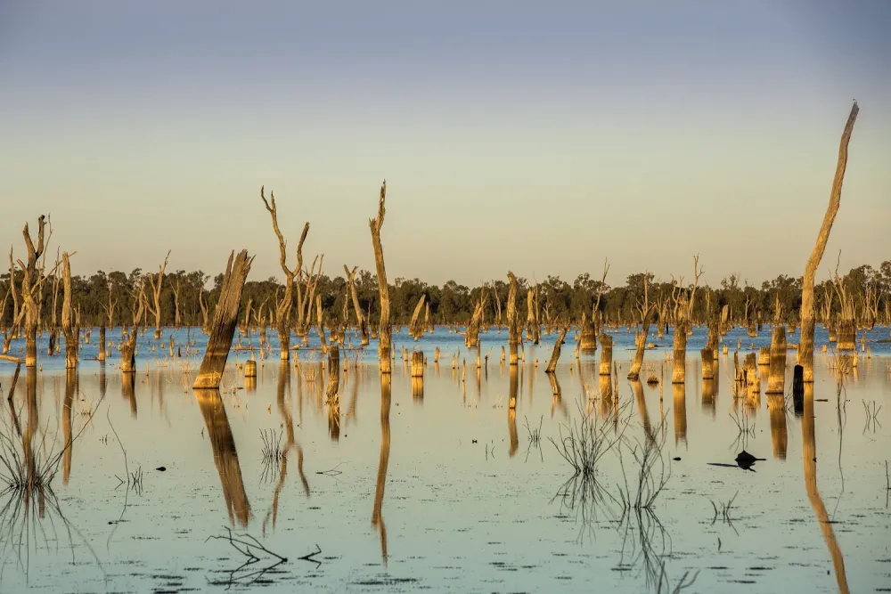 The Lake of Scars Director Bill Code Talks Consultation and Collaboration, Restoring and Saving Indigenous history, and More in This Interview