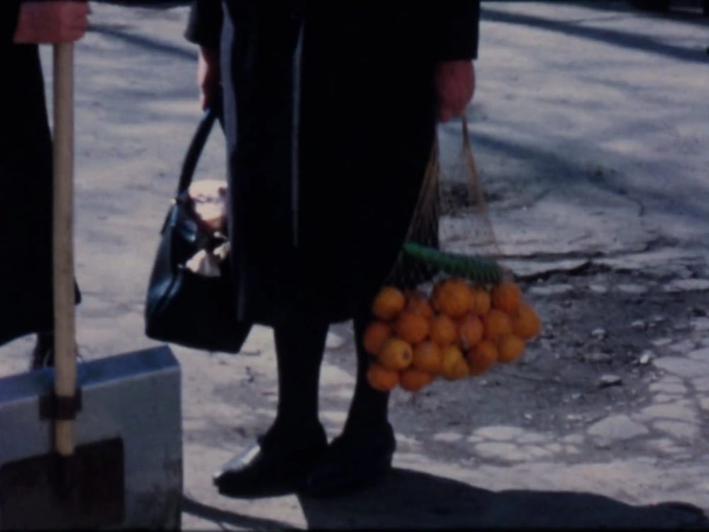 Terra Femme Review – An Archival Footage Film Fuelled by a Longing for Solitary Wandering and Exploration