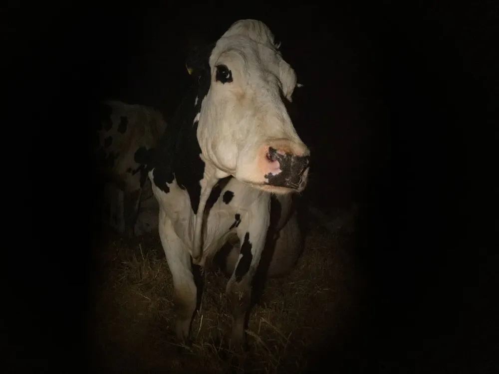 ACMI Film Curator Reece Godwin Talks Best 22 of 2022 and Days of Summer in This Interview