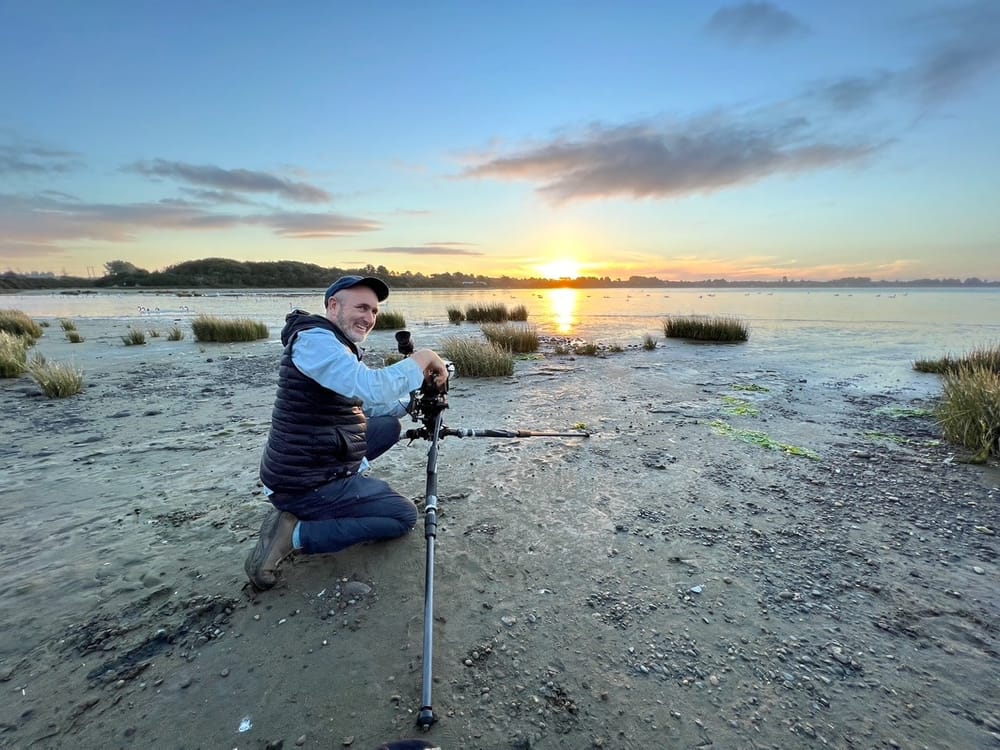 Flyways Director Randall Wood Talks About Saving Shorebirds in This Interview