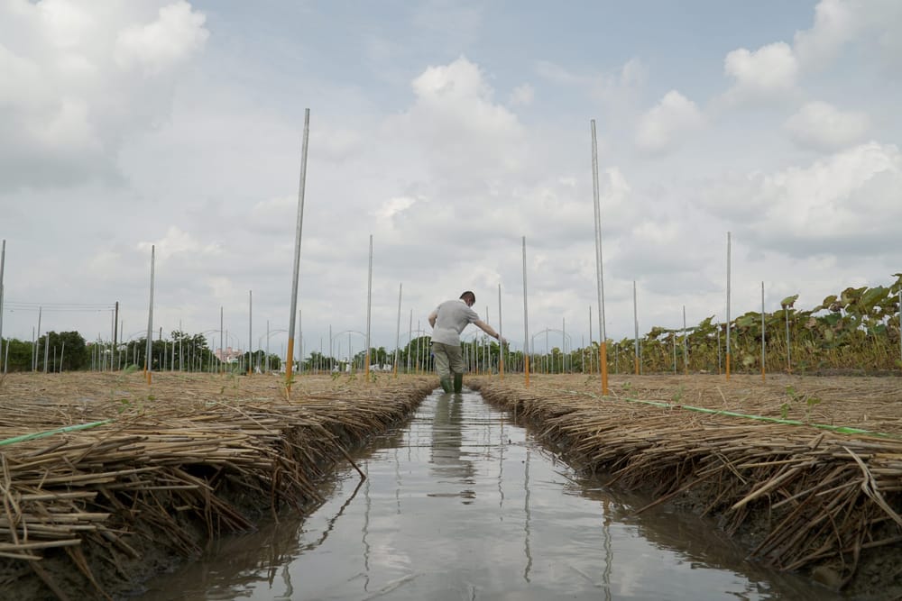 Experience the 6th Taiwan Film Festival in Australia: A Cinematic Journey Across 5 Cities this July & August!