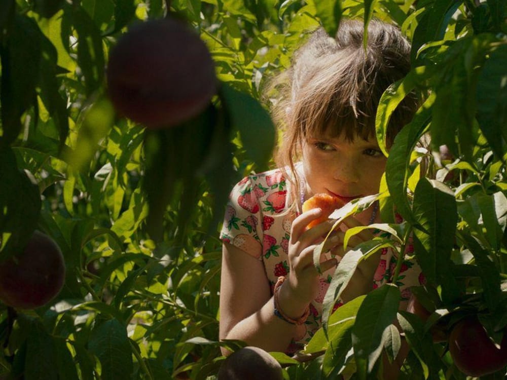 Alcarràs Review - An Elegy to a Dying Way of Life