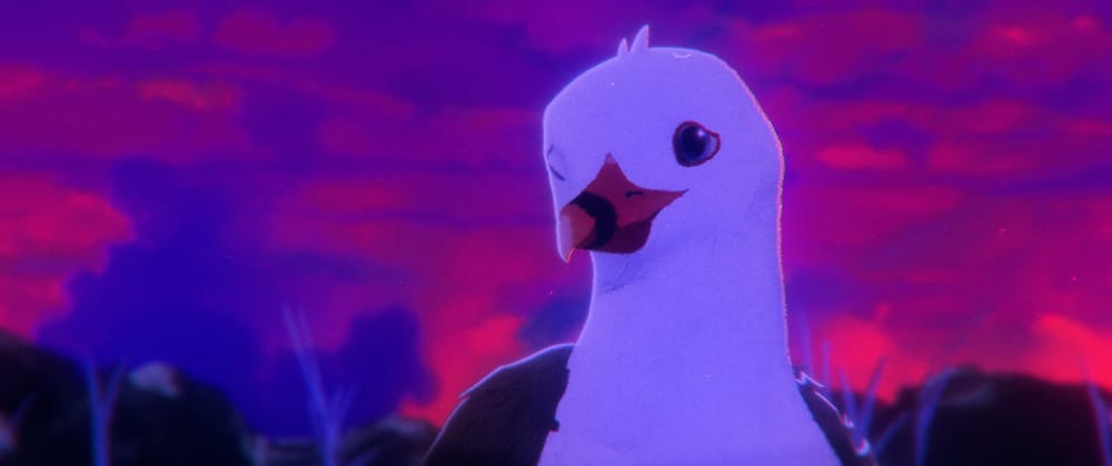 Bird Drone Director Radheya Jegatheva Talks About Perth Sunsets and Seagulls in This Interview