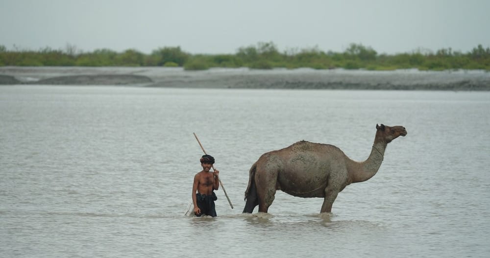 AIDC Reveals 15 Projects Selected for 2024 FACTory International Pitching Showcase