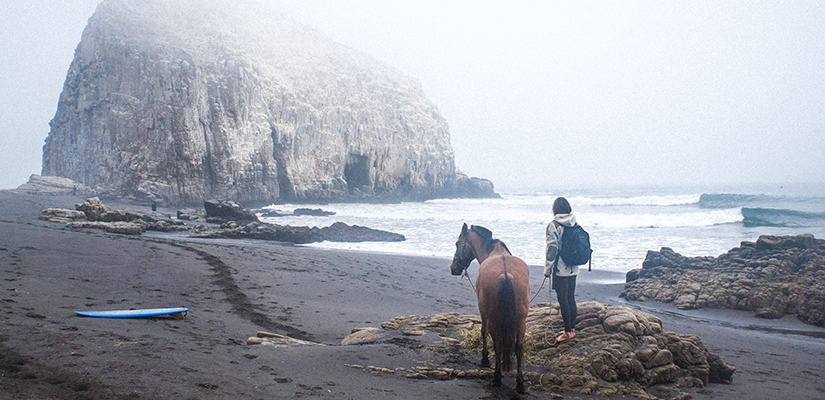 The Road to Patagonia Director Matty Hannon Talks About Living with the Land in This Interview