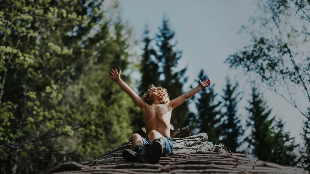 Adelaide Film Festival: A New Kind of Wilderness is Suffused with Magic, Tragedy, and Gaining Wisdom