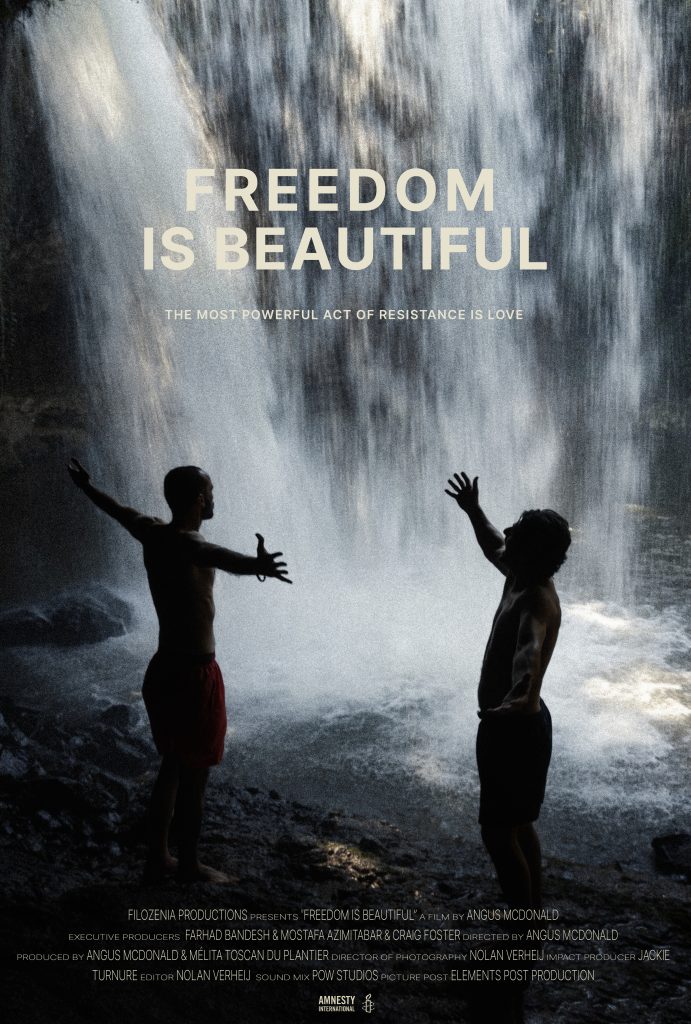 Freedom is Beautiful poster