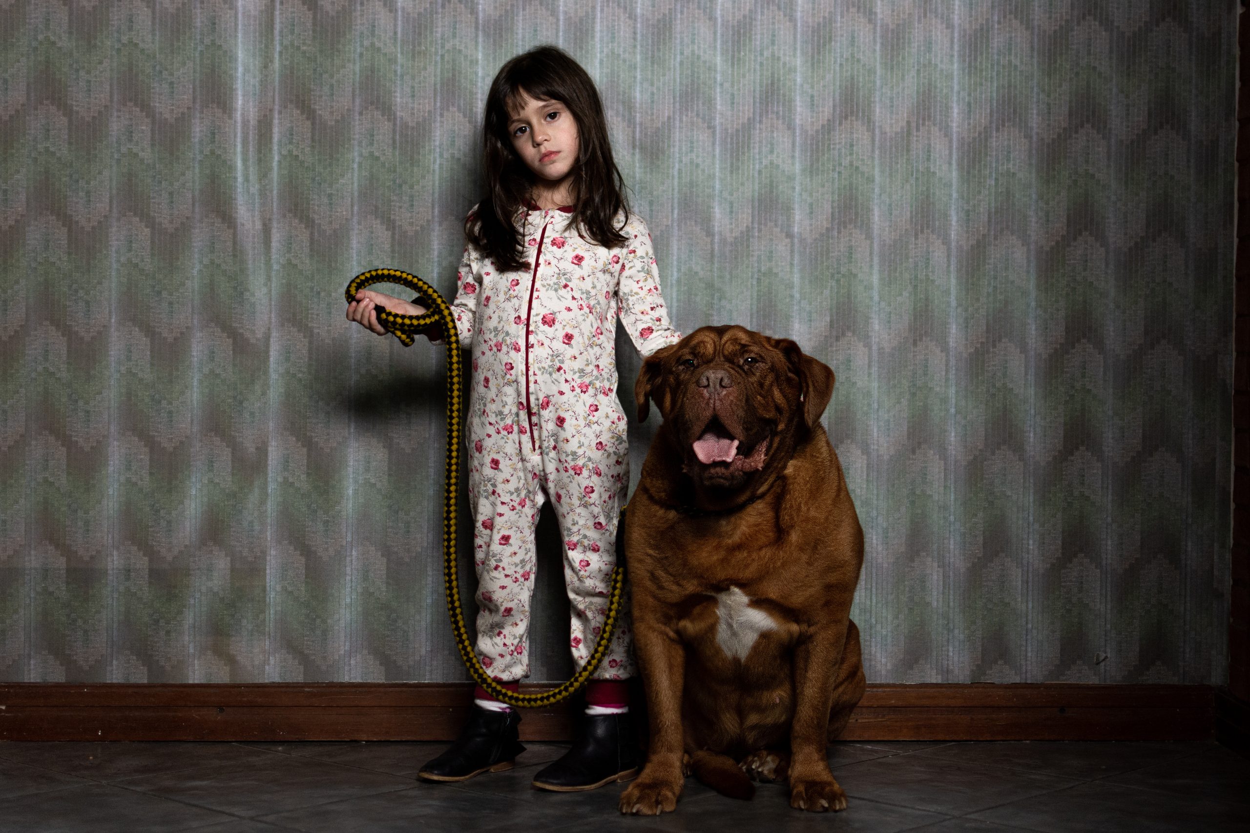 A photo of a young child in pyjamas standing next to a large brown dog. Demian Rugna’s WHEN EVIL LURKS. Courtesy of Shudder and IFC Films. A Shudder and IFC Films release.
